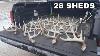 Heavy 5 Point 28 Sheds Shed Hunting 2023